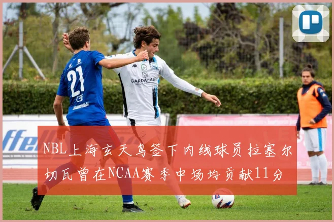 NBL上海玄天鸟签下内线球员拉塞尔切瓦曾在NCAA赛季中场均贡献11分8篮板