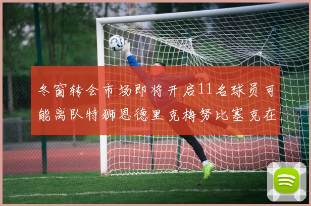 冬窗转会市场即将开启11名球员可能离队特狮恩德里克梅努比塞克在列