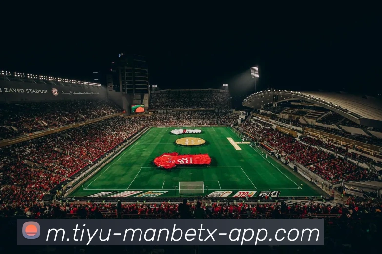 App Interface Preview