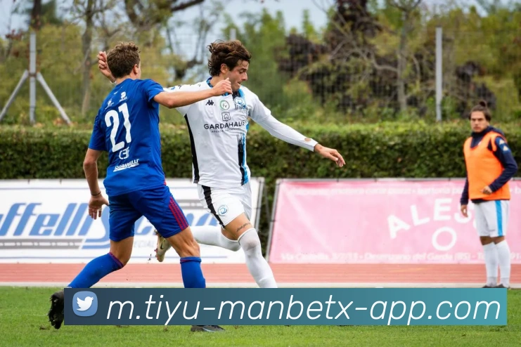 万博体育APP 封面图